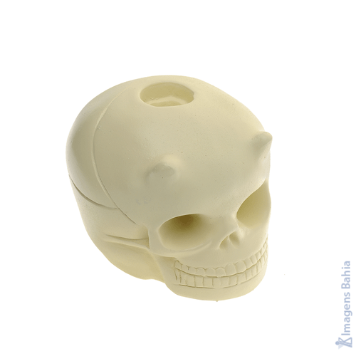Imagem de Cranio Porta Vela (Osso) de 11cm