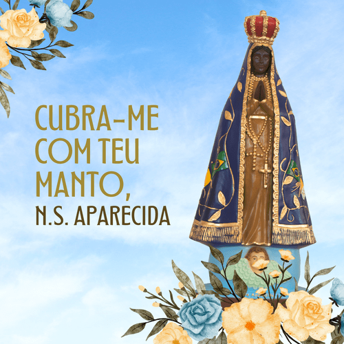 Nossa Senhora Aparecida de 20cm
