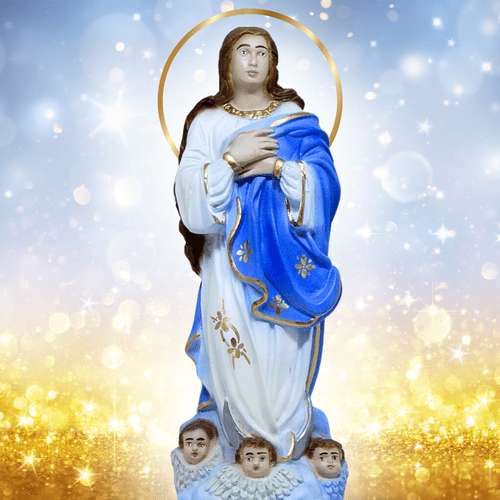 Nossa Senhora Conceição de 20cm
