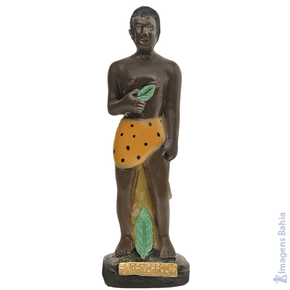 Imagem de Africano Arranca Folha de 20cm