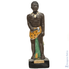 Imagem de Africano Arranca Toco de 20cm