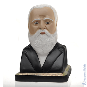 Bezerra De Menezes (Busto) de 20cm