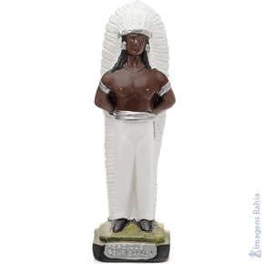 Imagem de Cacique Pena Branca de 45cm Imagem de Cacique Pena Branca de 45cm