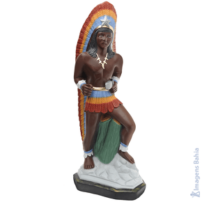 Imagem de Cacique Samambaia de 50cm Imagem de Cacique Samambaia de 50cm