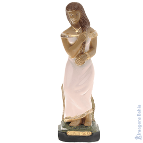 Imagem de Cigana Rosa de 20cm