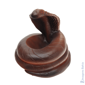 Imagem de Cobra de 15cm