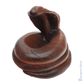 Imagem de Cobra de 25cm