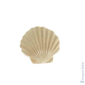 Imagem de Concha Com 6peças em resina de 4cm