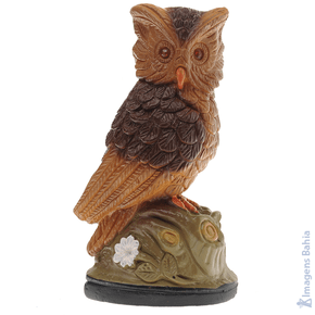 Imagem de Coruja Da Sorte (Esquerda) de 12cm