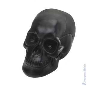 Imagem de Cranio Caveira (Preta) de 20cm