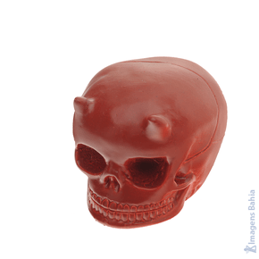 Imagem de Cranio Diabo (Osso) de 11cm