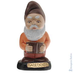 Imagem de Gnomo Da Sabedoria de 12cm