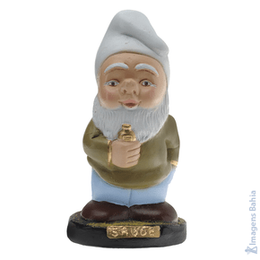 Imagem de Gnomo Da Saúde de 12cm