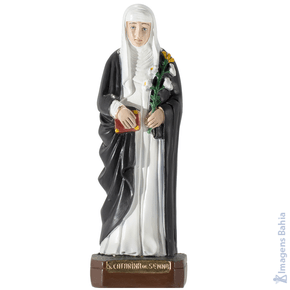 Santa Catarina De Senna de 20cm