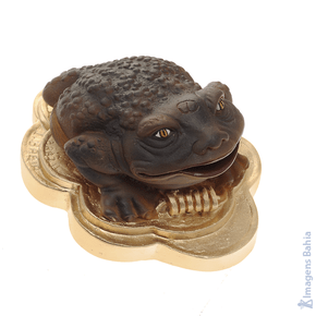 Imagem de Sapo da Sorte de 15cm