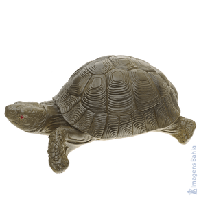 Imagem de Tartaruga da sorte de 20cm