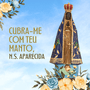 Imagem de Nossa Senhora Aparecida de 20cm